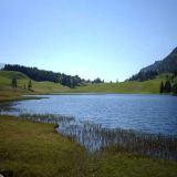 Seewaldsee-im-Salzburgerland